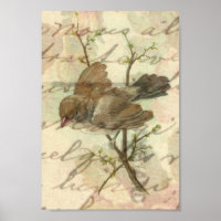 Vintager Sparrow mit handgeschriebenem Hintergrund