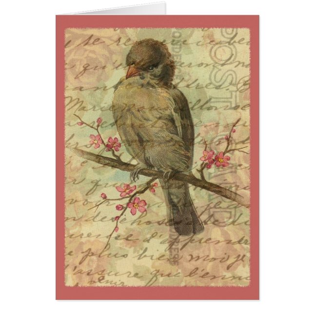 Vintager Spatz (Vorne)