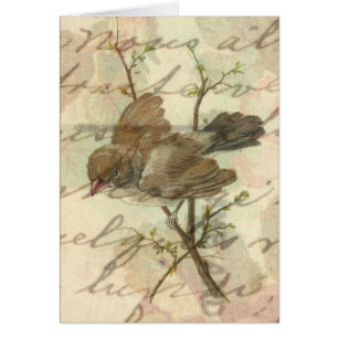 Vintager Spatz mit handgeschriebenem Hintergrund