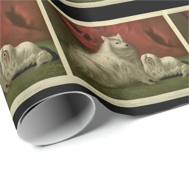 Vintager Spitz und maltäre Hunde Geschenkpapier (Rolleneckpunkt)