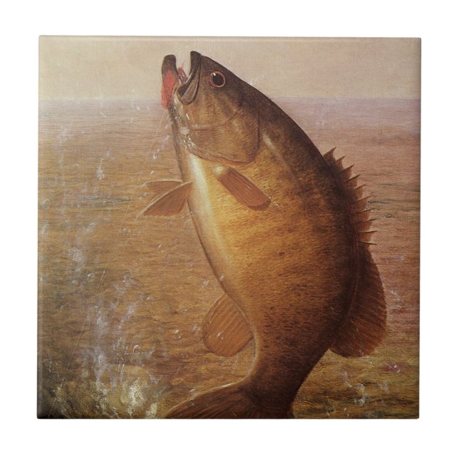 Vintager Sportfisch, Largemouth Brown Bass Fish Fliese (Vorderseite)