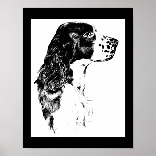 Vintager Springer Spaniel Dog Black and White Art Poster (Vorne)