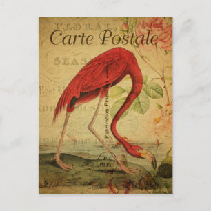 Vintager Stil Flamingo Postkarte