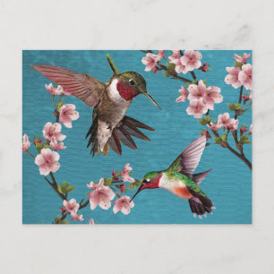 Vintager Stil Hummingbird Painting Postcard Postkarte
