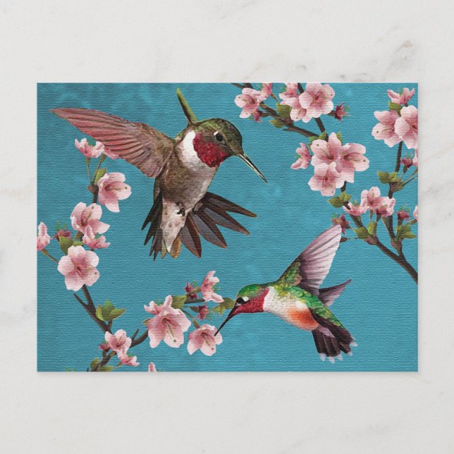 Vintager Stil Hummingbird Painting Postcard Postkarte (Vorderseite)