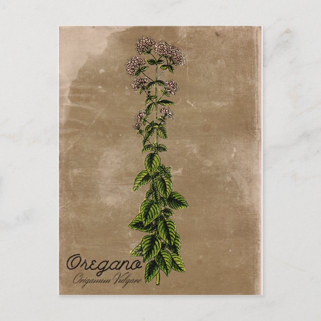 Vintager Stil Postkarte (Vorderseite)