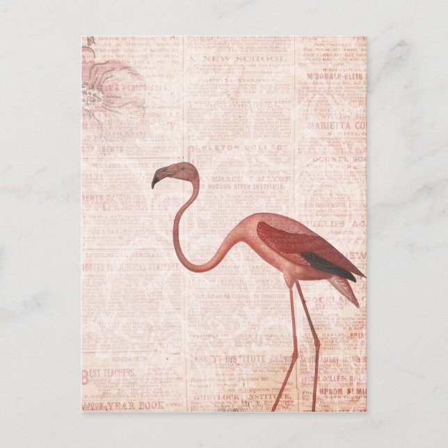 Vintager Stil rosa Flamingo Postkarte (Vorderseite)