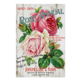 Vintager Stil Rose Saatkatalog Poster