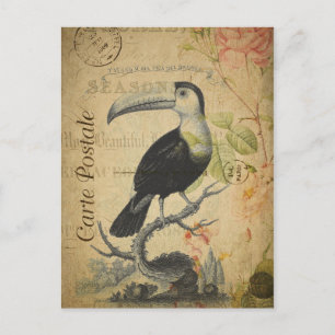 Vintager Stil Toucan French Carte Postale Postkarte