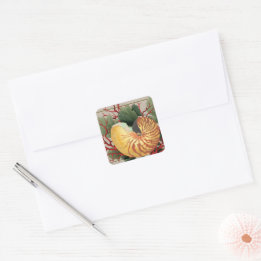 Vintager Strand Seashell & Red Coral Quadratischer Aufkleber