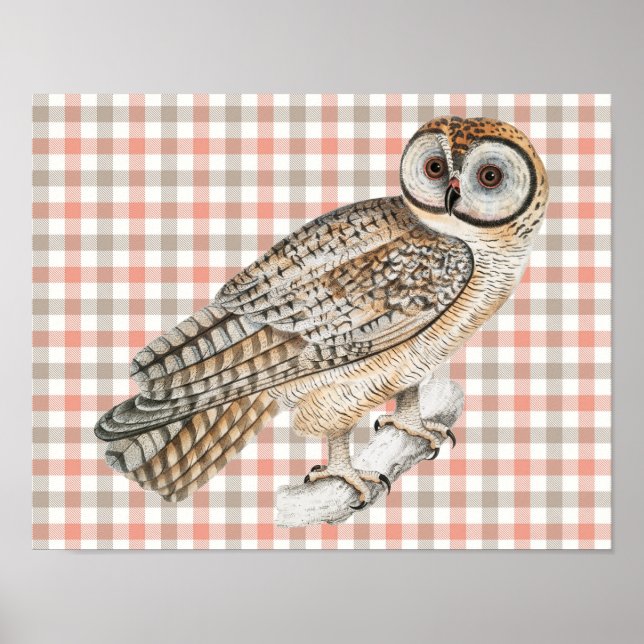 Vintager Style Owl Bird Poster Kunst, Kariert (Vorne)