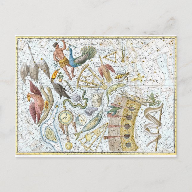 Vintager Südhimmelkonstellationen - Himmelskarte Postkarte (Vorderseite)