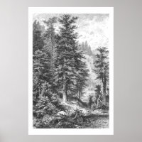 Vintager Tannenbaum 1800er Jahre Antiquitätendruck