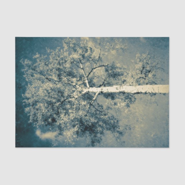 Vintager Texturwald gegen grauen Himmel Seidenpapier (Vorderseite)