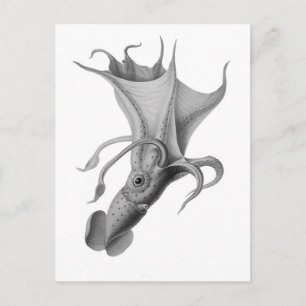 Vintager Tintenfisch Postkarte