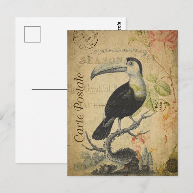 Vintager Toucan Bird Postkarte (Vorne/Hinten)