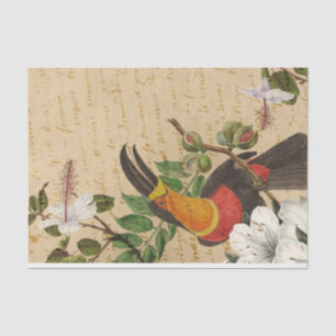 Vintager TropenToukan Seidenpapier