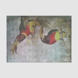 Vintager TropenToukan Seidenpapier