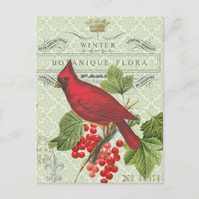 Vintager Urlaub-Winter Roter Kardinal Postkarte (Vorderseite)