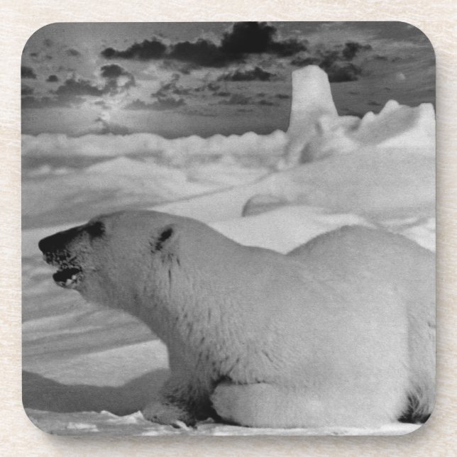 Vintager US-Alaska-Eisbär Getränkeuntersetzer (Vorderseite)