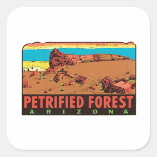 Vintager versteinerter Wald Arizona AZ Staat Quadratischer Aufkleber