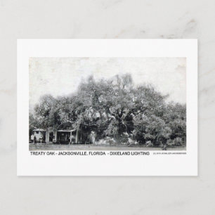 Vintager Vertrag Oak Jacksonville Florida Postcard Postkarte