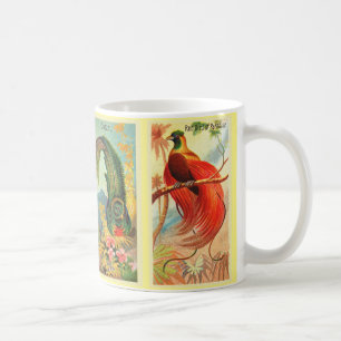 Vintager Vier tropische Vogelbilderparrot Kaffeetasse