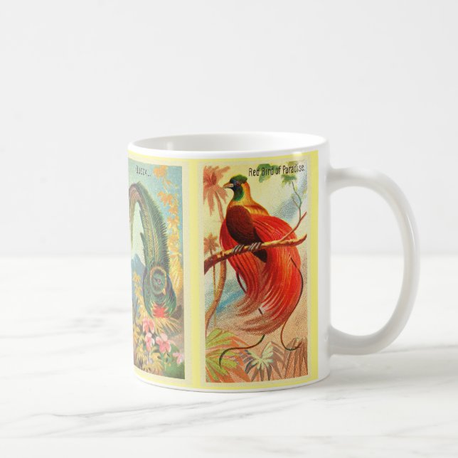 Vintager Vier tropische Vogelbilderparrot Kaffeetasse (Rechts)