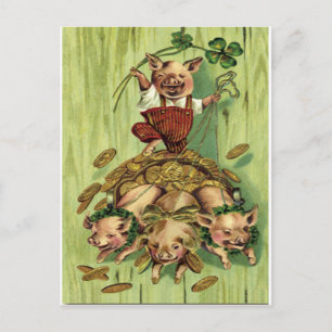 Vintager Vierblättriges Kleeblatt Pig Gold St Patr Postkarte