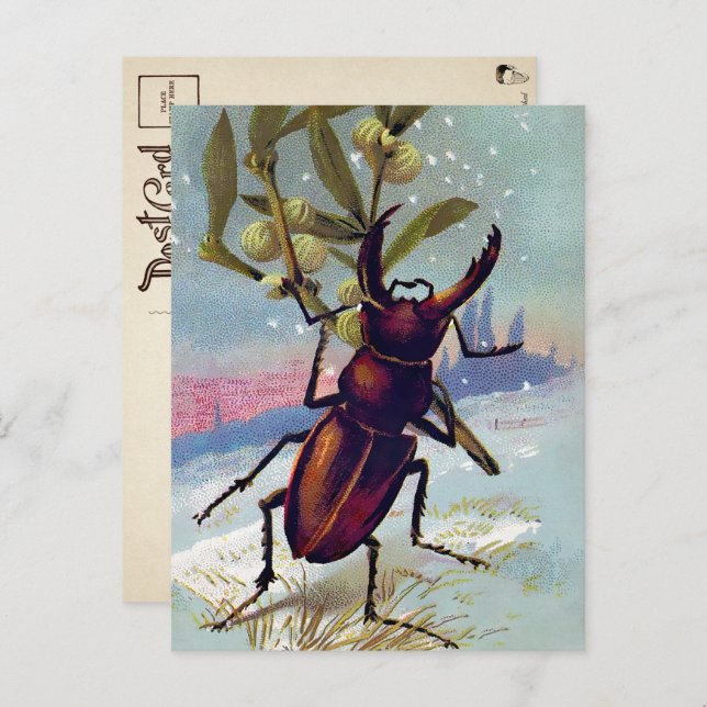Vintager Viktorianischer Bug Weihnachten Postkarte (Vorne/Hinten)
