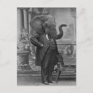 Vintager Viktorianischer Mann im Anzug mit Elefant Postkarte