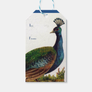 Vintager Viktorianischer Pfau Geschenkanhänger