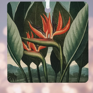 Vintager Vogel des Paradieses Botanischer Flora-Te Ornament Aus Metall