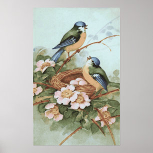 Vintager Vogel-Druck Poster