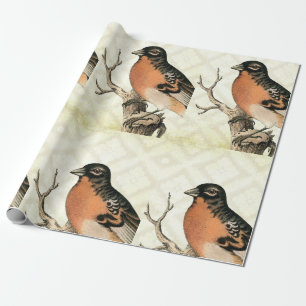 Vintager Vogel Geschenkpapier