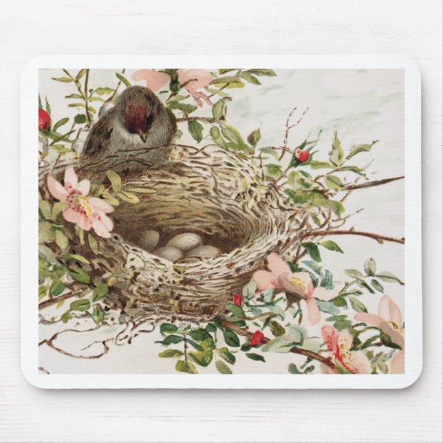 Vintager Vogel im Nest-Tierdruck Mousepad (Vorne)