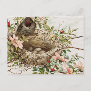 Vintager Vogel in der Nest-Tierwerbung Postkarte