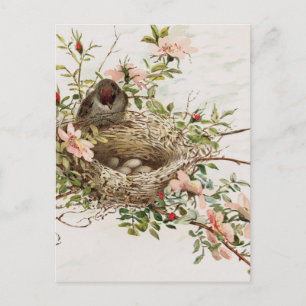 Vintager Vogel in der Nest-Tierwerbung Postkarte