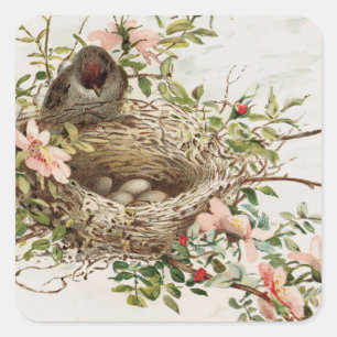 Vintager Vogel in der Nest-Tierwerbung Quadratischer Aufkleber