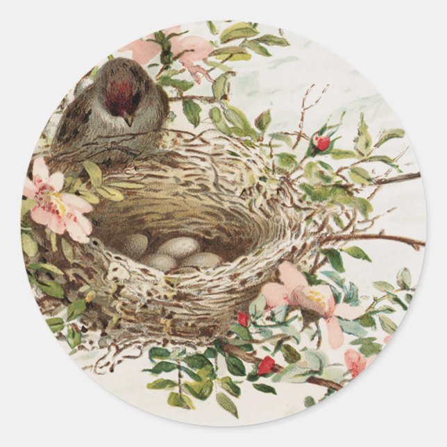 Vintager Vogel in der Nest-Tierwerbung Runder Aufkleber (Vorderseite)