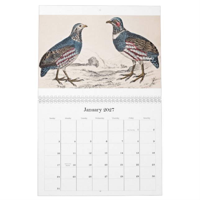 Vintager Vogel-Kalender - 2013 Kalender (Jan 2027)