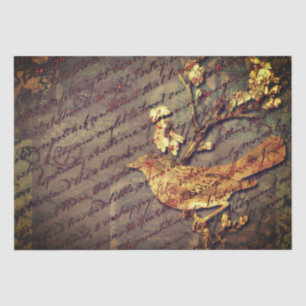 Vintager Vogel & Script A Shabby Chic Decoute Seidenpapier