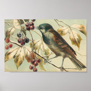 Vintager Vogel und Berries Poster