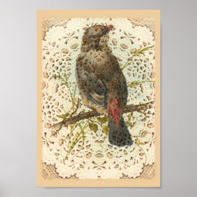 Vintager Vogel und Doilie Poster (Vorne)