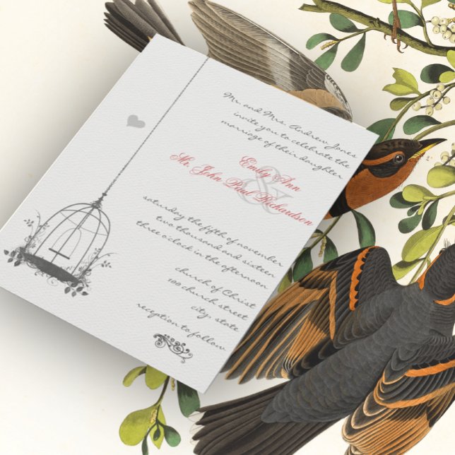 Vintager Vogelkäfig Rosa Akzente Hochzeitseinladun Einladung (Von Creator hochgeladen)