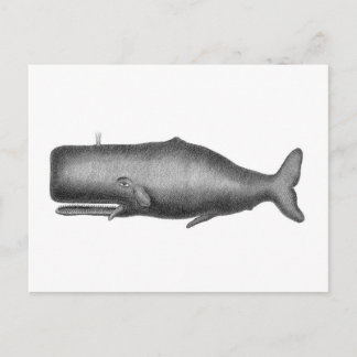Vintager Wal Postkarte