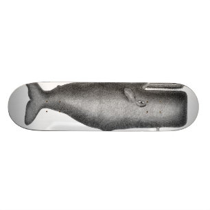 Vintager Wal Skateboard