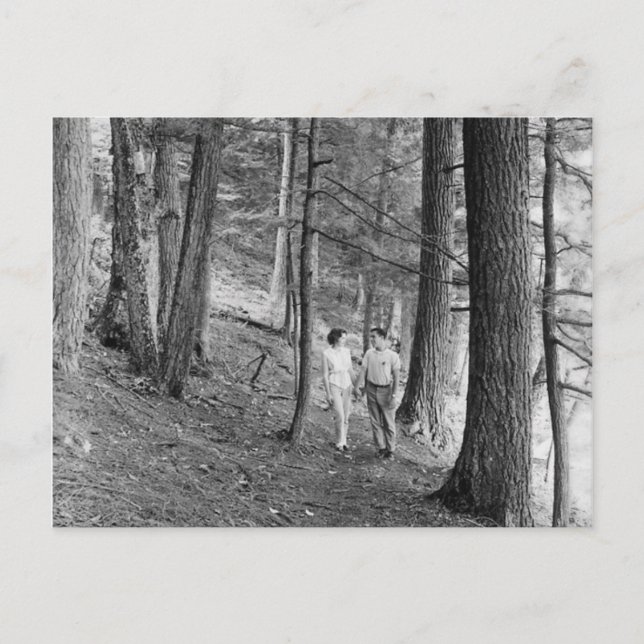 Vintager Wanderweg Imp Lake Postkarte (Vorderseite)