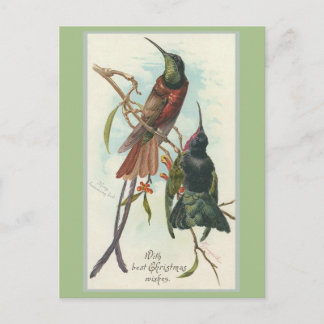 Vintager Weihnachtskönig Humming Birds Feiertagspostkarte