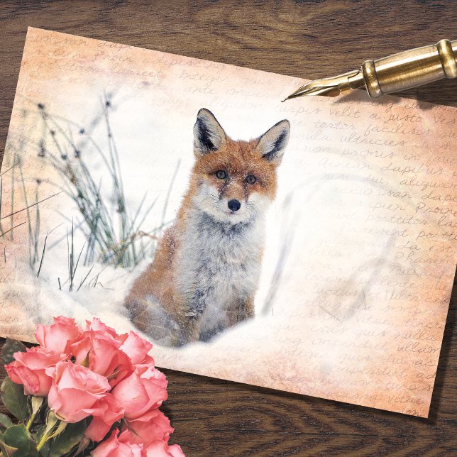 Vintager weißer Fox im Schneedeckenpapier Seidenpapier (Von Creator hochgeladen)